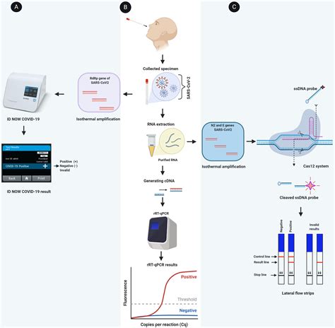 HexaPrime: A novel method for detection of coronaviruses.